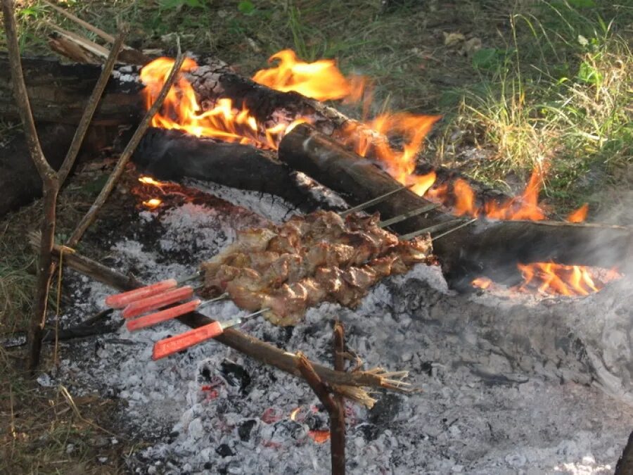 Шашлык на костре. Шашлыки на природе. Костер шашлык природа. Шашлык на костре в лесу. Сгоревший шашлык