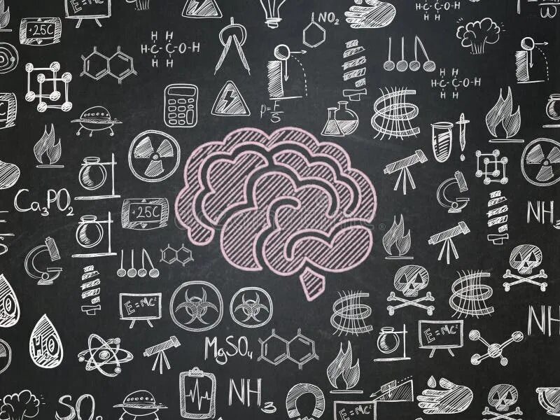 Brain bug chalk