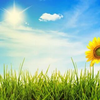 To have a sun