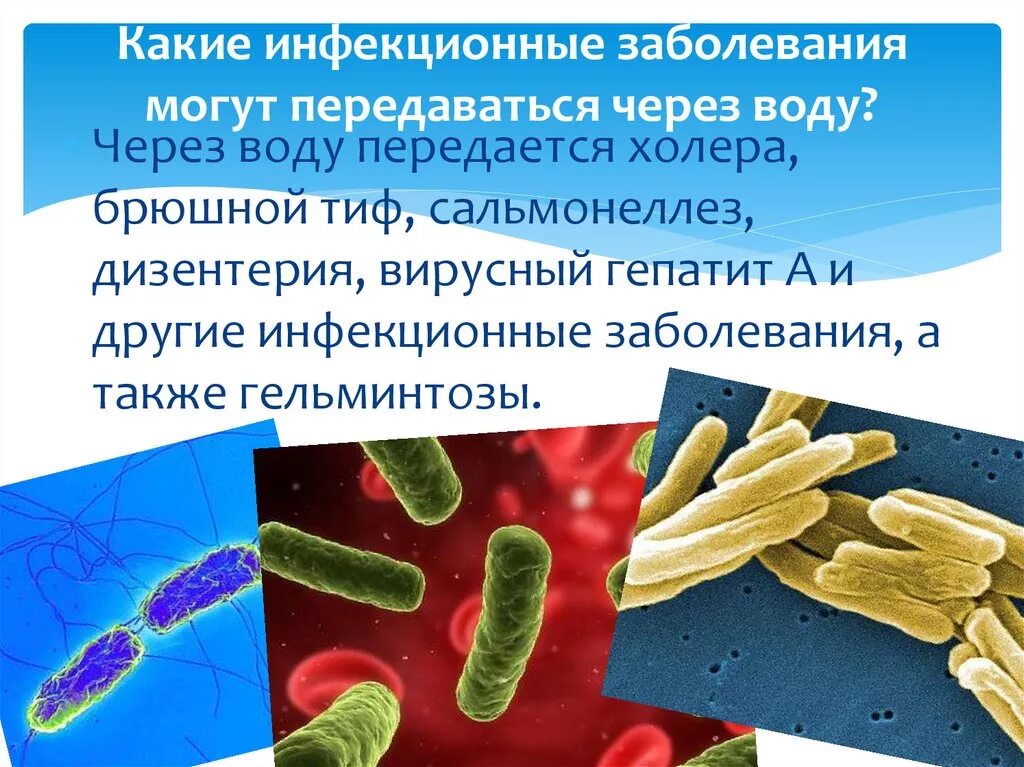 Инфекционные болезни гельминтозы, передаваемые водным путем. Какие возбудители инфекционных заболеваний передаются водным путем. Заболевания передающиеся через воду. Инфекционные заболевания передаваемые через воду. Сальмонеллез меры