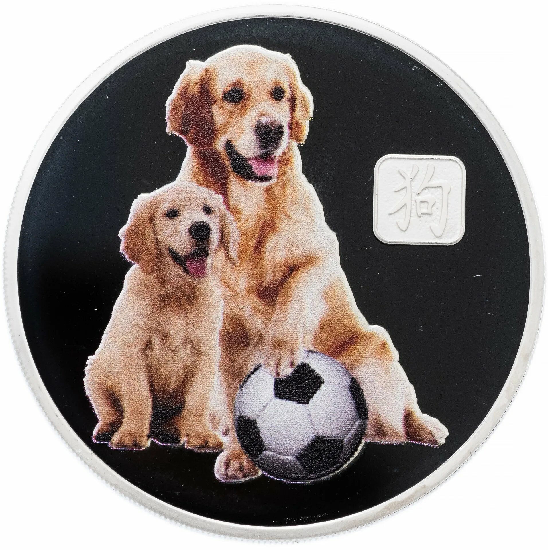 Монеты с изображением собак. Год собаки 2018. Китайская Монетка с изображением собаки. Футбольная собака 2018.