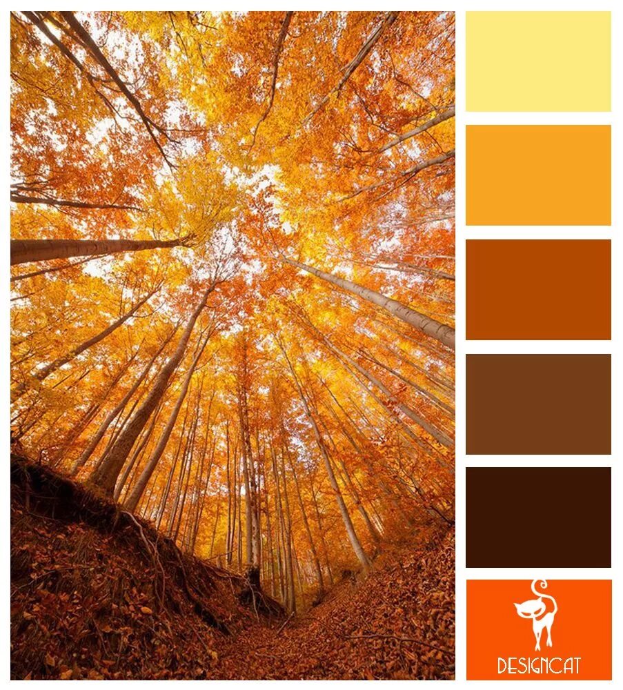 Коричнево желто белый