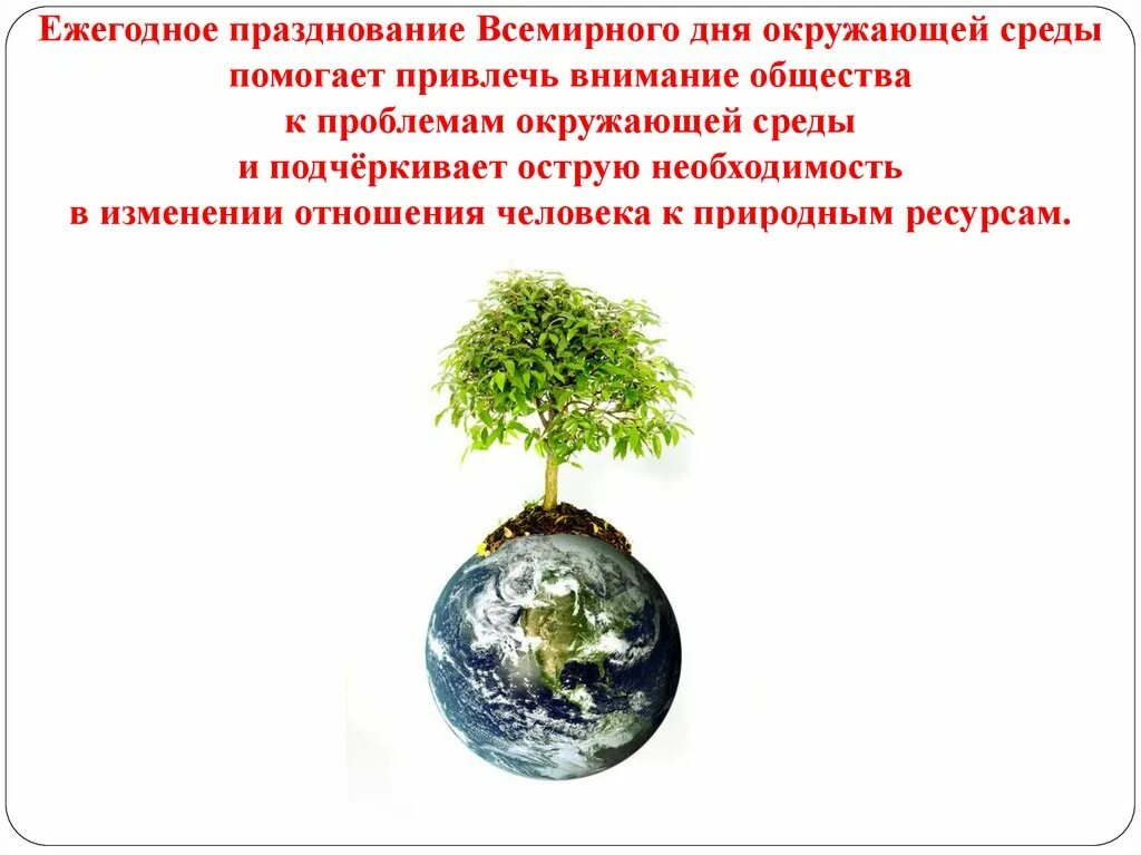Когда отмечают всемирный день окружающей среды