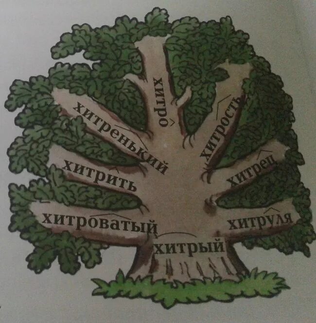 Дерево с однокоренными словами. Проект дерево с однокоренными словами. Дере во с однокореныме словами. Словообразовательное дерево. Дерево слов 5 класс