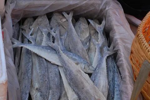 Рыба мороженная оптом