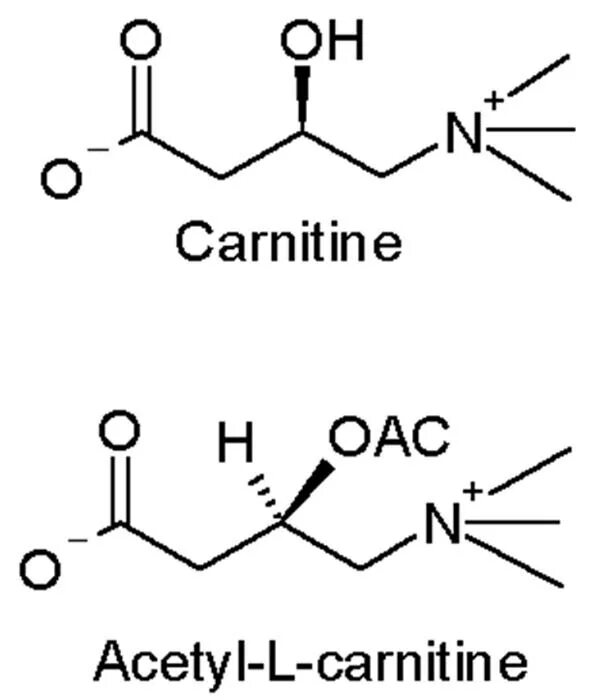 Ацетил-l-карнитин формула. Карнитин химическая формула. Ацетил карнитин формула. Л карнитин формула. Коа лак