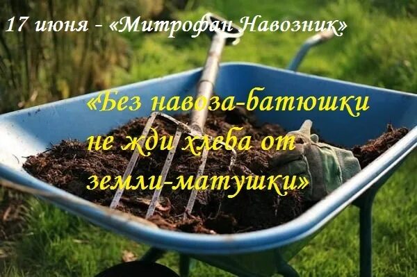 17 июня народный календарь. 17 июня народный календарь. Семнадцатое июня. Именинники 17 июня. Семнадцатое июня.