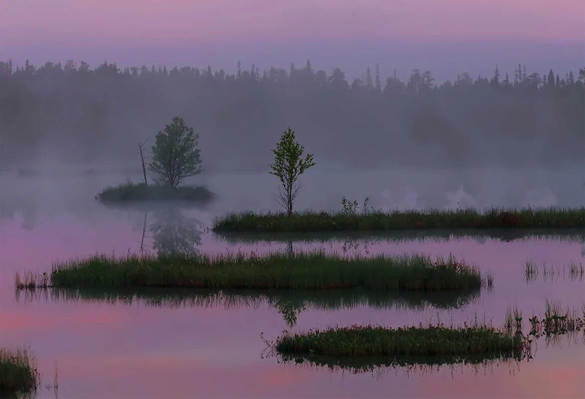 там за белой рекой. петр косых фотографии. три тумана икра. три тумана карелия. туманная гряда карелия.