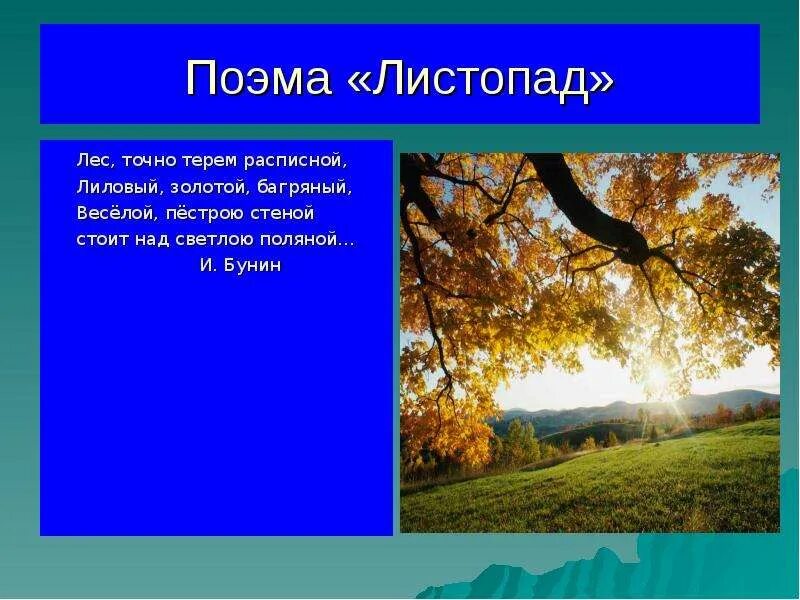 Бунин листопад основная мысль. Поэма листопад. бунин листопад. стих листопад. листопад лес точно.