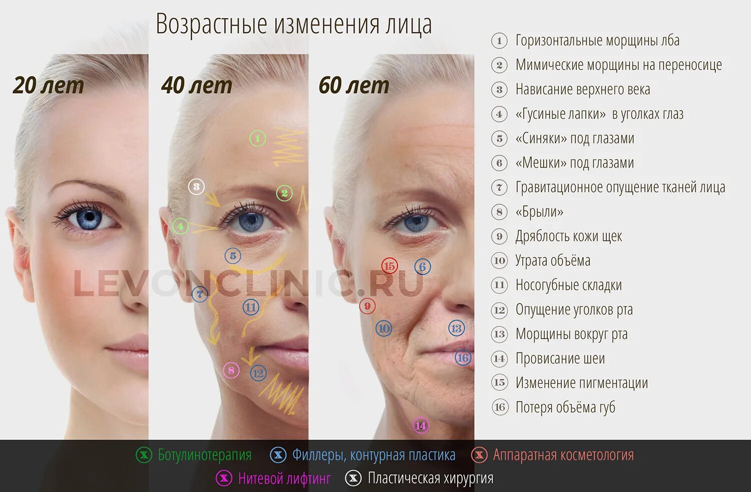 Возрастные изменения лица. Коррекция возрастных изменений кожи. Возрастные изменения кожи. Возрастные изменения лица у женщин. Возрастные изменения 40
