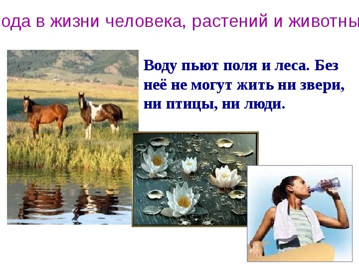 Что человеку надо для жизни. Смысл жизни человека картинки. Цитаты про жизнь. Человек и природа картинки. Вода в жизни растений и животных.