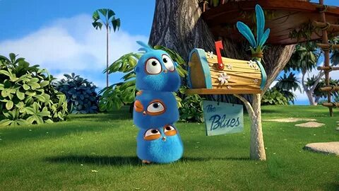 Bird blues
