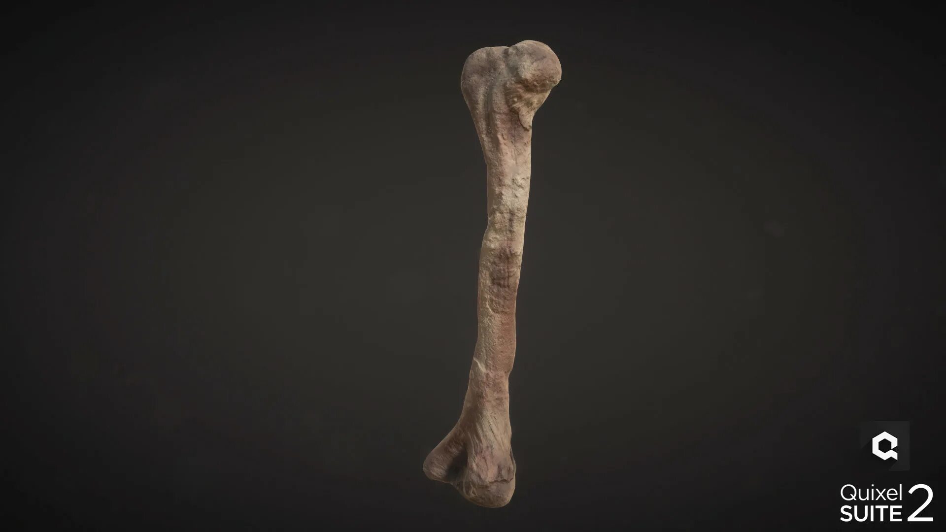 Old bone