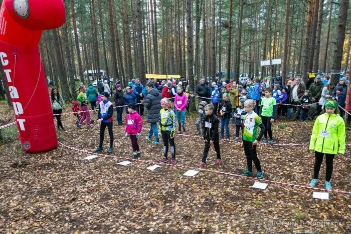 юзао теам спортивное ориентирование. ориентирование в коми. ориентирование 21. ориентир в школе. пешее ориентирование.