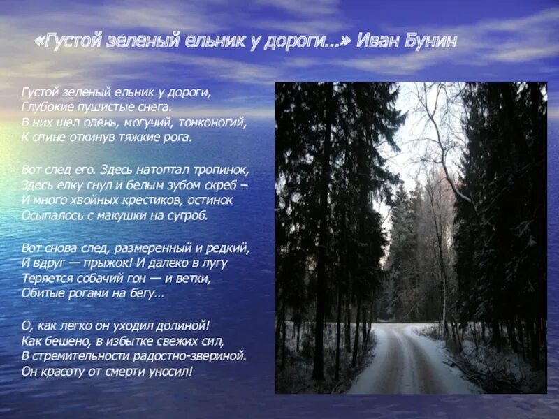 Бунин густой ельник. Бунин олень. Стих густой ельник у дороги. Бунин зеленый ельник у дороги стихотворение. Полный месяц февраля