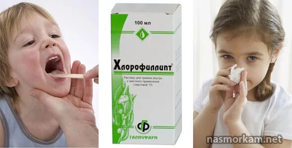 Хлорофиллипт для небулайзера. Ингаляции хлорофиллином. ингаляции с хлорофиллиптом. хлорофиллипт для ингаляций небулайзером. хлорофиллипт ингаляции небулайзером для детей.