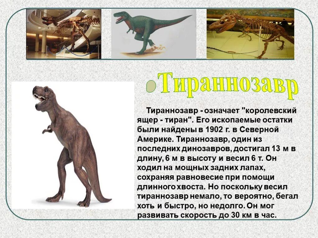 Сообщение о древнем животном. Тираннозавр доклад. проект про древних животных. сообщение на тему древние животные. информация о тираннозавре.