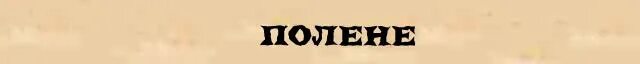 Поляна корень слова. Полянка слово. Слово поляна. Слово поляна. Русский язык моя поляна.