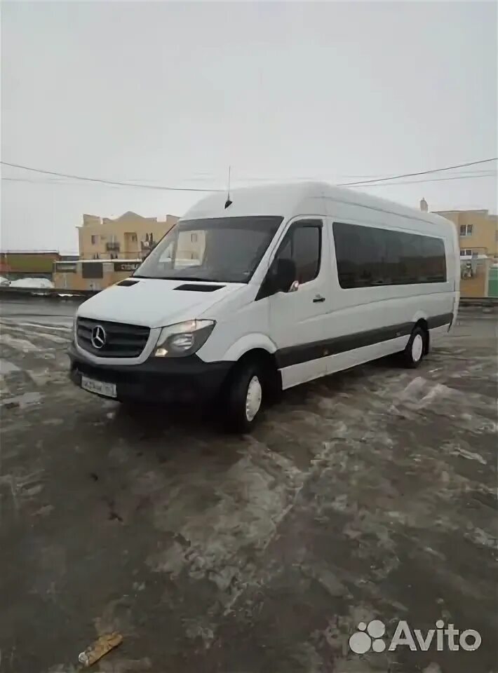 Название компании автобусов. Автобус напрокат с водителем. Перевозка пассажиров микроавтобус. Микроавтобусы трансфер 18 мест аэропорт красноярск. Мерседес спринтер автопарк.