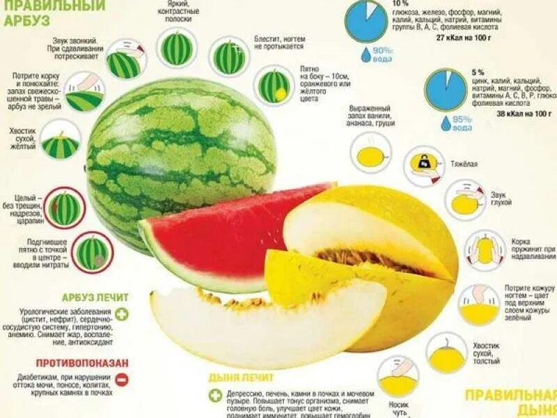 В каком месяце дыни. Витамины в арбузе. Полезные элементы в дыне. Полезные вещества в арбузе. Дети с арбузами и дынями.
