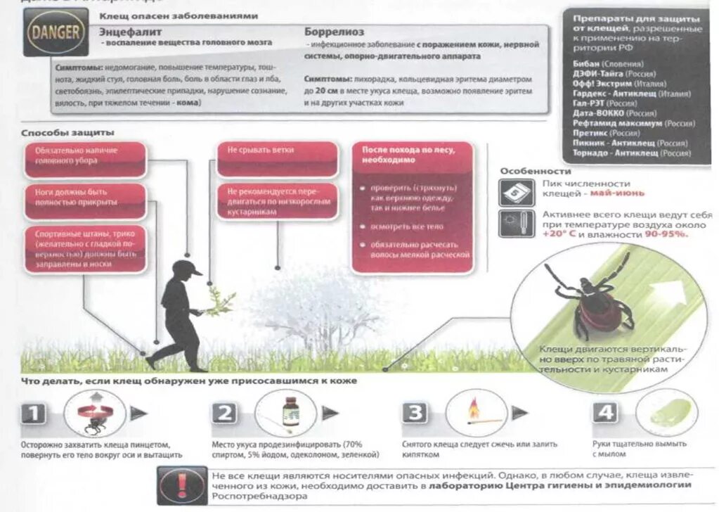 Клещевые инфекции тесты с ответами. Памятка пациенту клещевой энцефалит. Памятка для населения по профилактике клещевого энцефалита. Схема профилактики клещевого энцефалита. Профилактика клещевого энцефалита памятка распечатать.