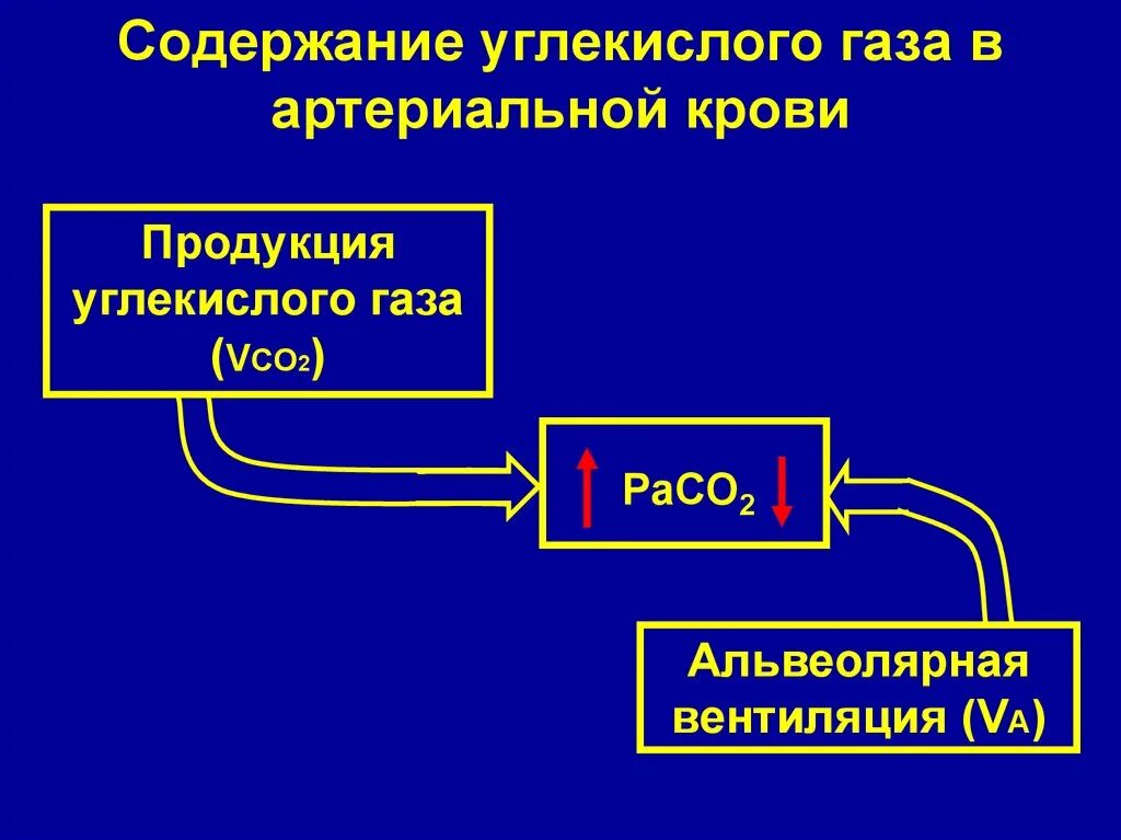 Количество кислорода в артериальной крови. Содержание углекислого газа в артериальной крови. Напряжение углекислого газа в артериальной крови. Содержание о2 в артериальной крови. Содержание углекислого газа в крови.