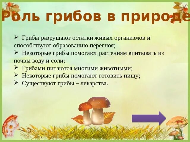 Какую роль выполняет гриб. Какую роль выполняет гриб