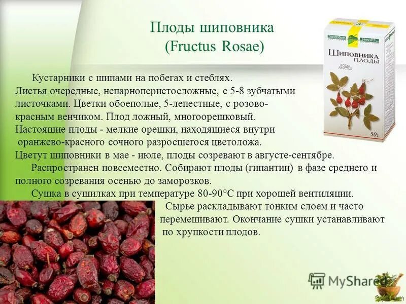 Плоды рецепт. Для чего полезен боярышник. Плоды рецепт. Плоды рецепт. Каштан орех съедобный.
