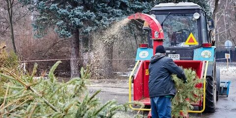 Переработка ели