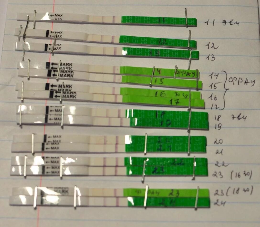 Сколько овуляций бывает. Тест на овуляцию пик ЛГ. Овуляция тесты графики. Тест на овуляцию гормон ЛГ. График тестов на овуляцию.