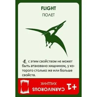 Время летать