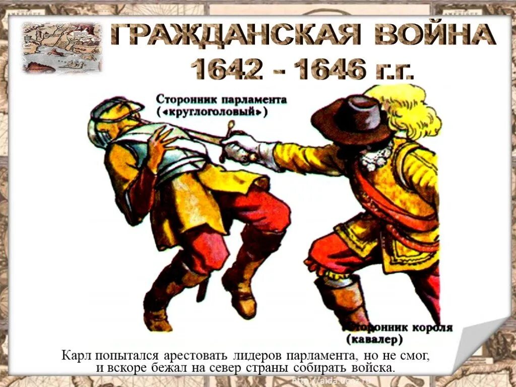 Почему круглоголовые