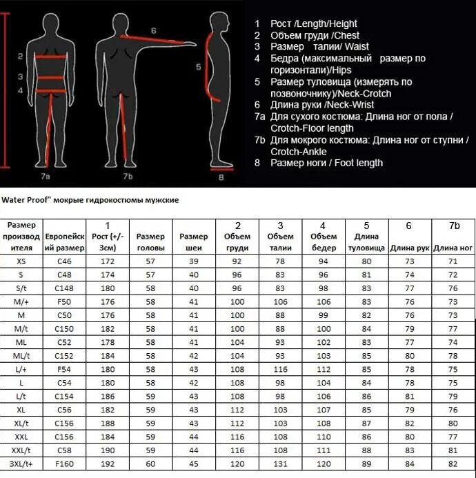 Сколько сантиметров взрослый. Размерная сетка гидрокостюм ватерпруф. Waterproof гидрокостюм 3,5 мм женский. Туловище с размером ног мужчина. Соотношение роста и длины ног.