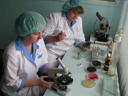 Работа санитарный врач