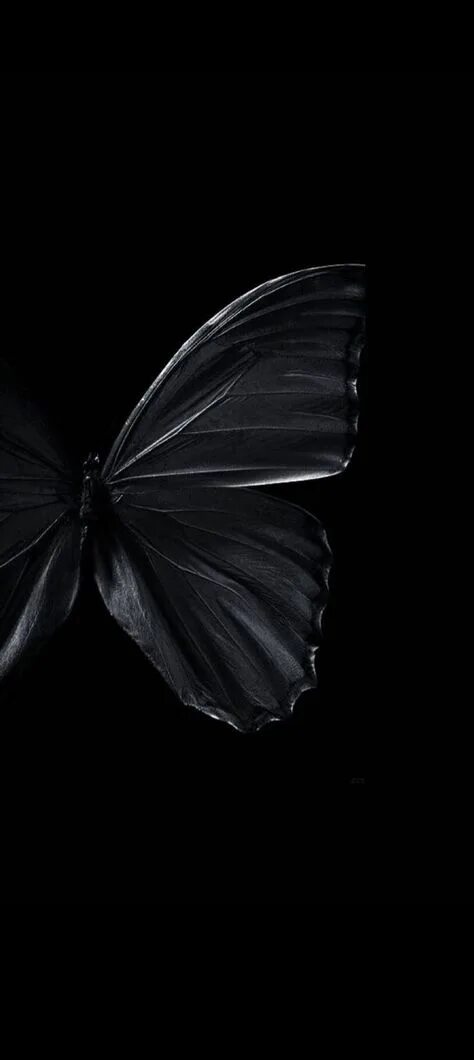 Blue Butterfly Flying in the Dark