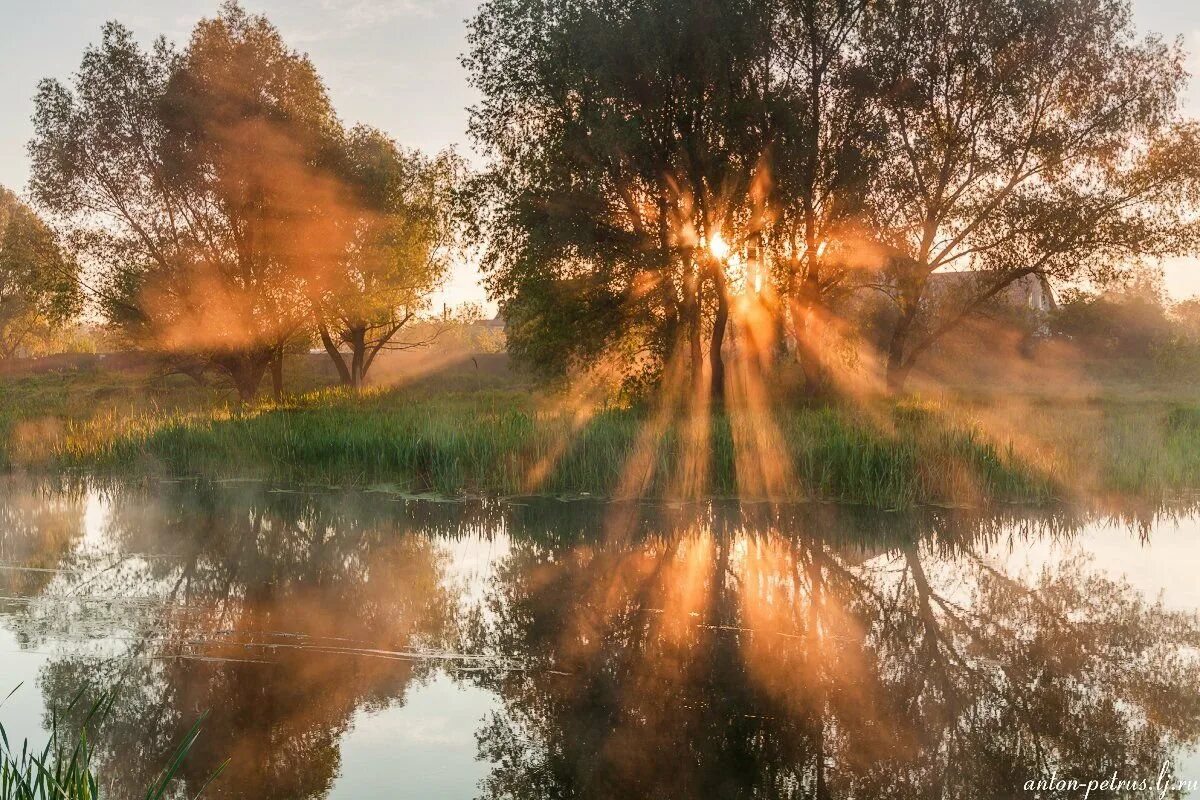 Утро выдалось прохладное золотое. Утренняя Заря. Рассвет на реке. Утро природа. Заря,рассвет,утро.