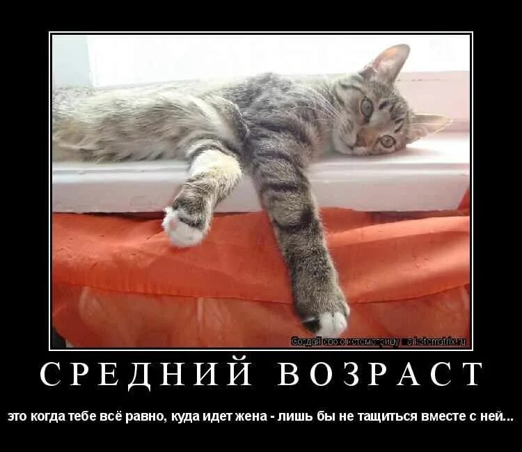 Будет по моему