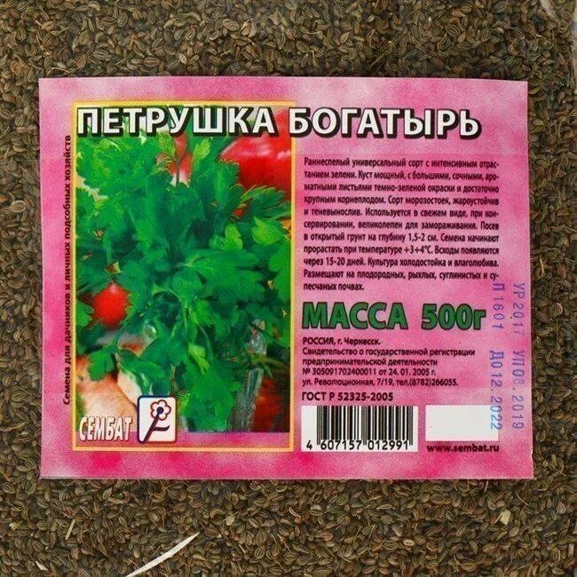 Томаты сорт петрушка. Семена петрушка богатырь. петрушка листовая богатырь. петрушка листовая итальянский гигант.
