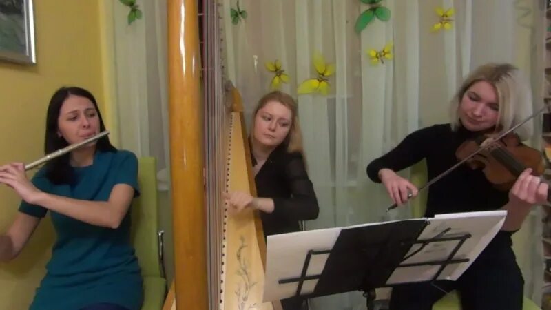 Барабан арфа. Арфа скрипка флейта. Арфа скрипка флейта. Камерно инструментальное творчество. Арфистка ксения михайлова.