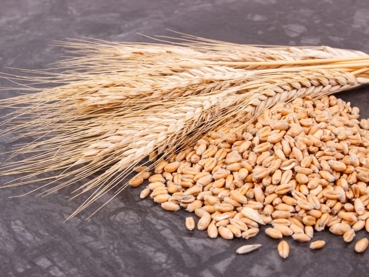 Ячмень содержит. Семена пшеницы. Пшеница зерно. Пшеница для детей. Урожай зерна.