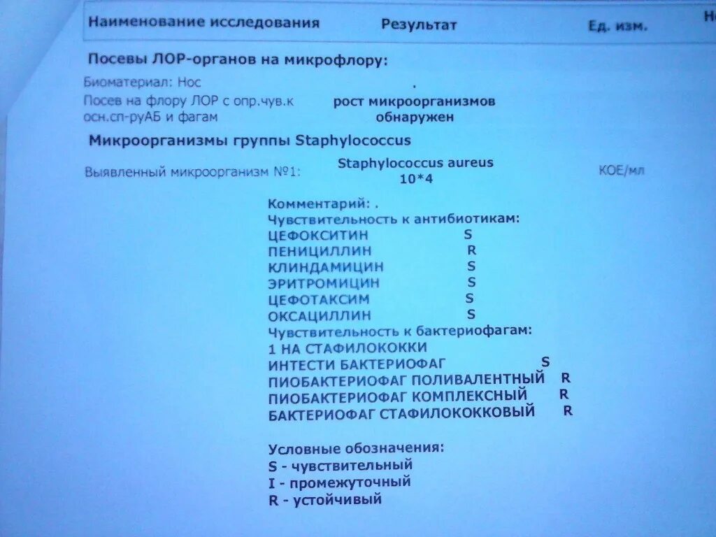 Посев лор органов. Посев на флору ЛОР органов. Посев ЛОР органов на микрофлору. Рост микроорганизмов обнаружен посев на флору. Посевы ЛОР органов на микрофлору обнаружен рост микроорганизмов.