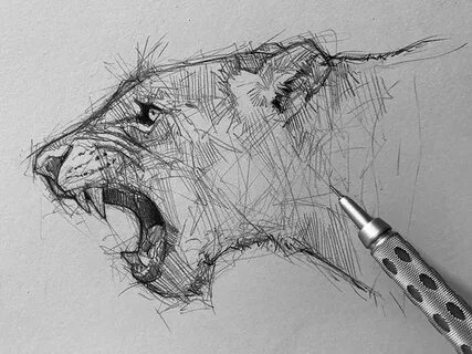 Sketch s