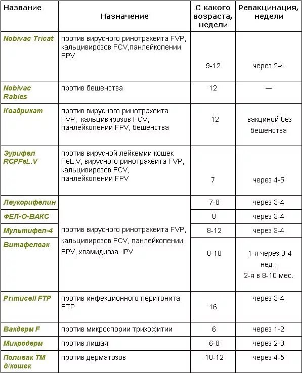 Схема прививок для котенка. Когда делают прививки кошкам таблица. Прививки котенку до года таблица. Таблица прививок для котят. Прививка от бешенства кошке как часто делать