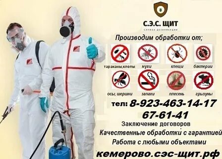 Сэс москва