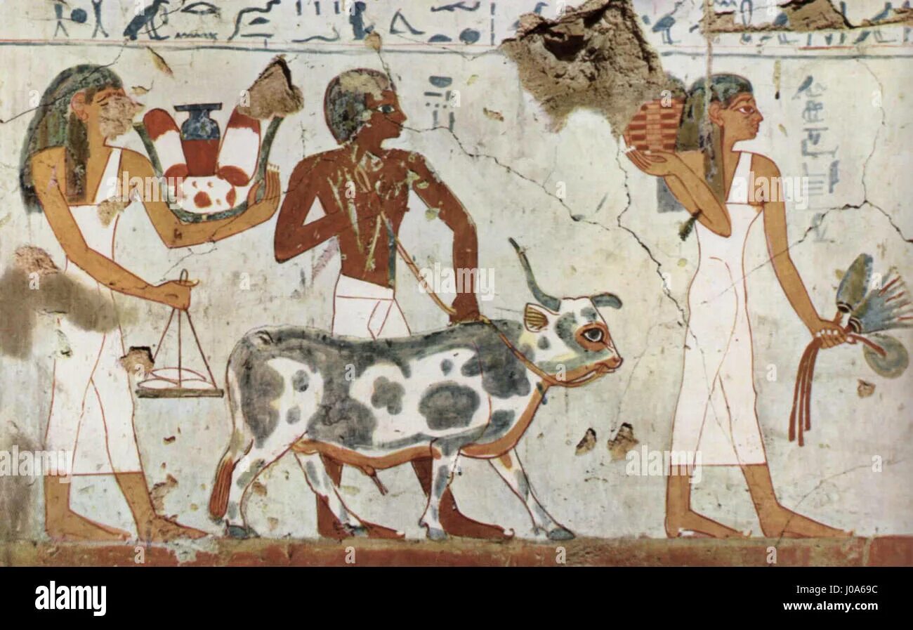 Корова в древности. Ветеринария в древнем мире. Древние ветеринары. Жертвоприношение животных в древности.