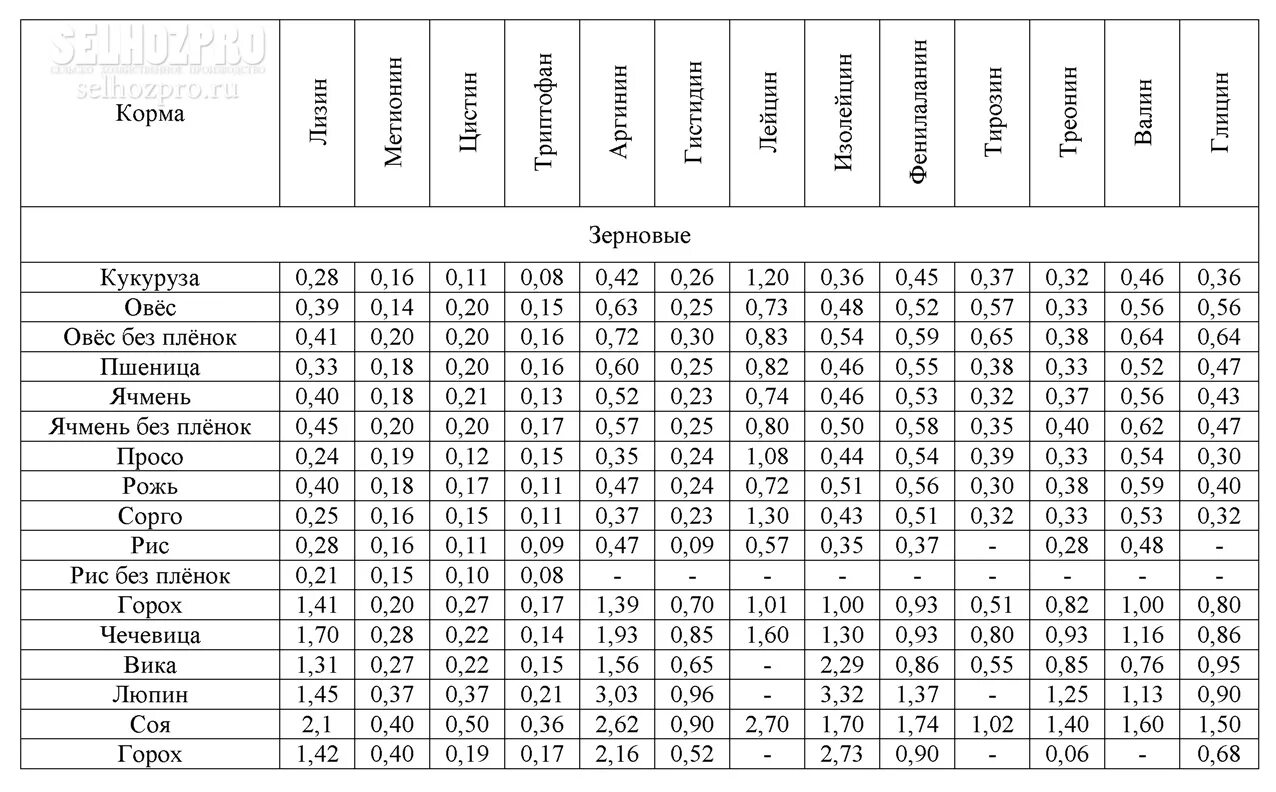 Пшеница состав белки. Химический состав кормов таблица для животных. Аминокислотный состав злаковых культур. Содержание лизина в зерновых культурах. Содержание аминокислот в зерне.