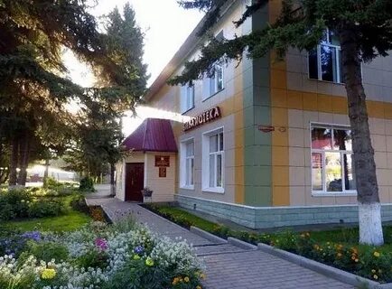 Библиотека шипуново