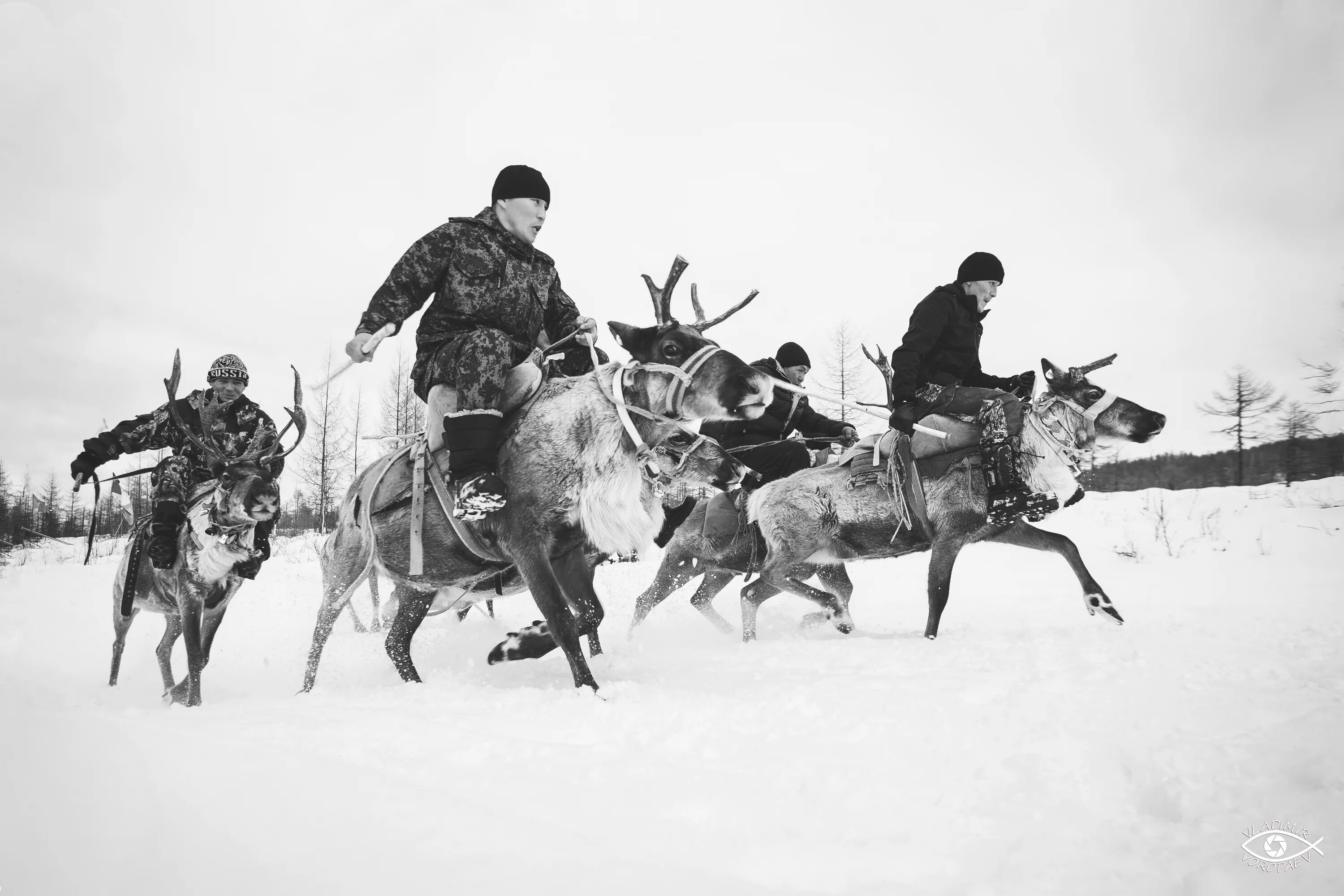 Войны северных народов. Охота эвенков Забайкалья. Якуты, эвенки, эвены. Эвенки охотники Сибири. Эвенки (тунгусы) охота.