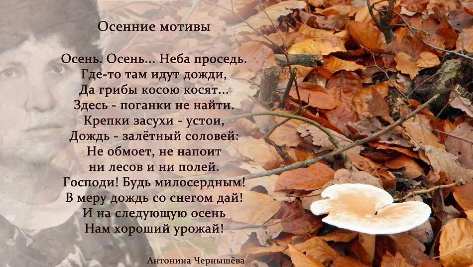Пестрые мотивы осень. Осенний мотив. Осенние мотивы песни. Осенний мотив. Осенние рисунки.