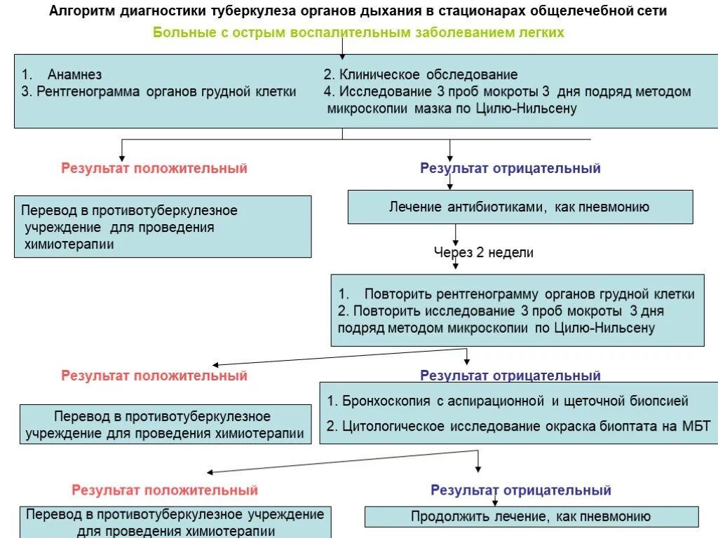 Алгоритм осмотра ребенка. Алгоритм выявления больных туберкулезом. Алгоритм диагностики туберкулеза. Тактика ведения туберкулезных больных. Алгоритм диагностики туберкулеза в общей лечебной сети.